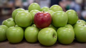 single-risk-kredietverzekering